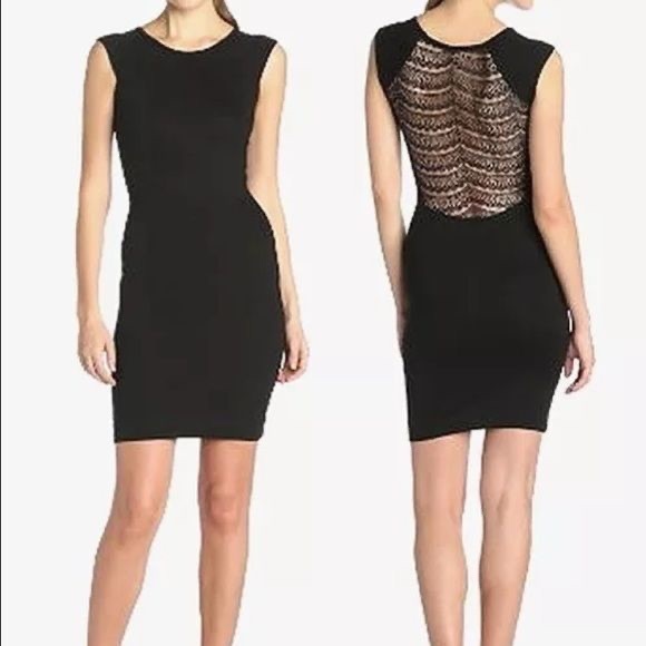 French Connection Dani Lace Jersey SS Dress - Picture 1 of 6